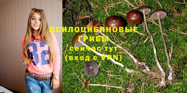 СК Бронницы