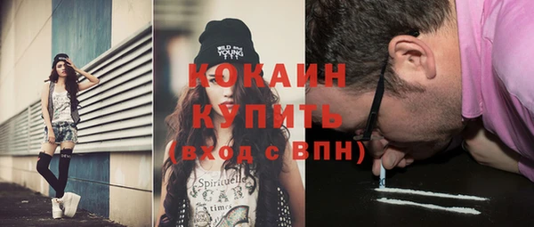 СК Бронницы