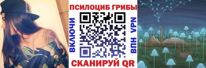 наркота  Бийск  Псилоцибиновые грибы мицелий 